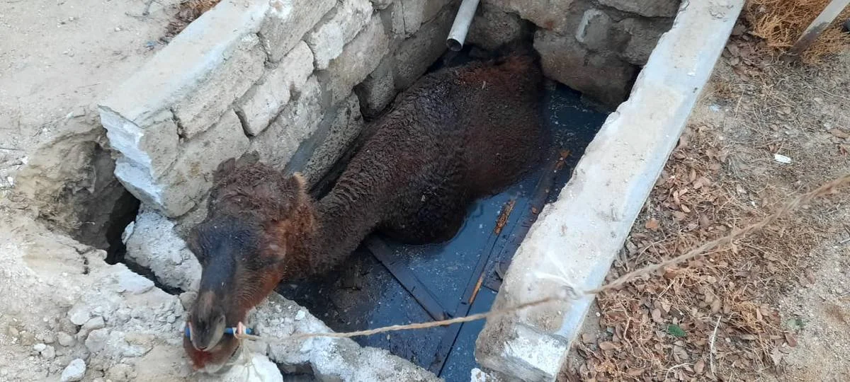 Фото пресс-службы ведомства