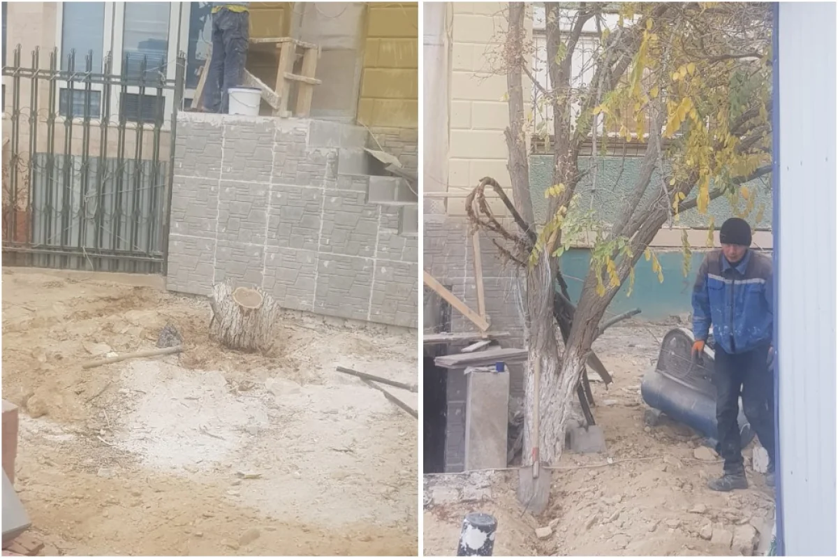 Коллаж из фото. Фото предоставлены пресс-службой акима Актау