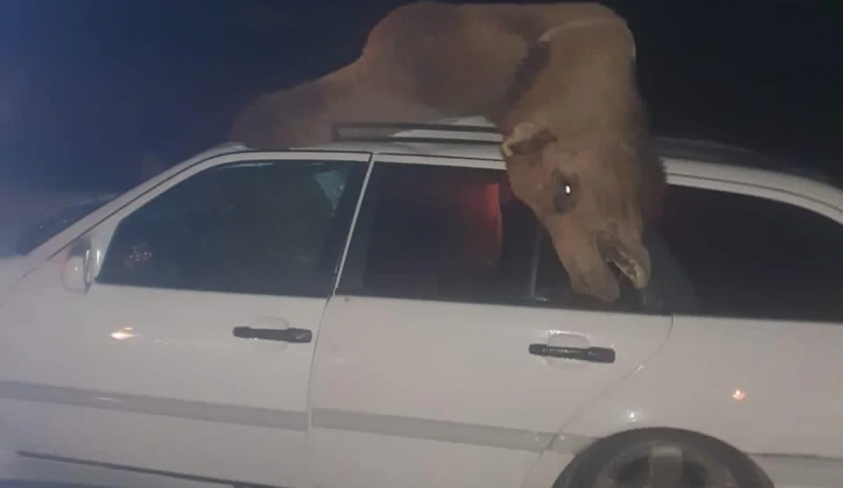 Фото очевидцев