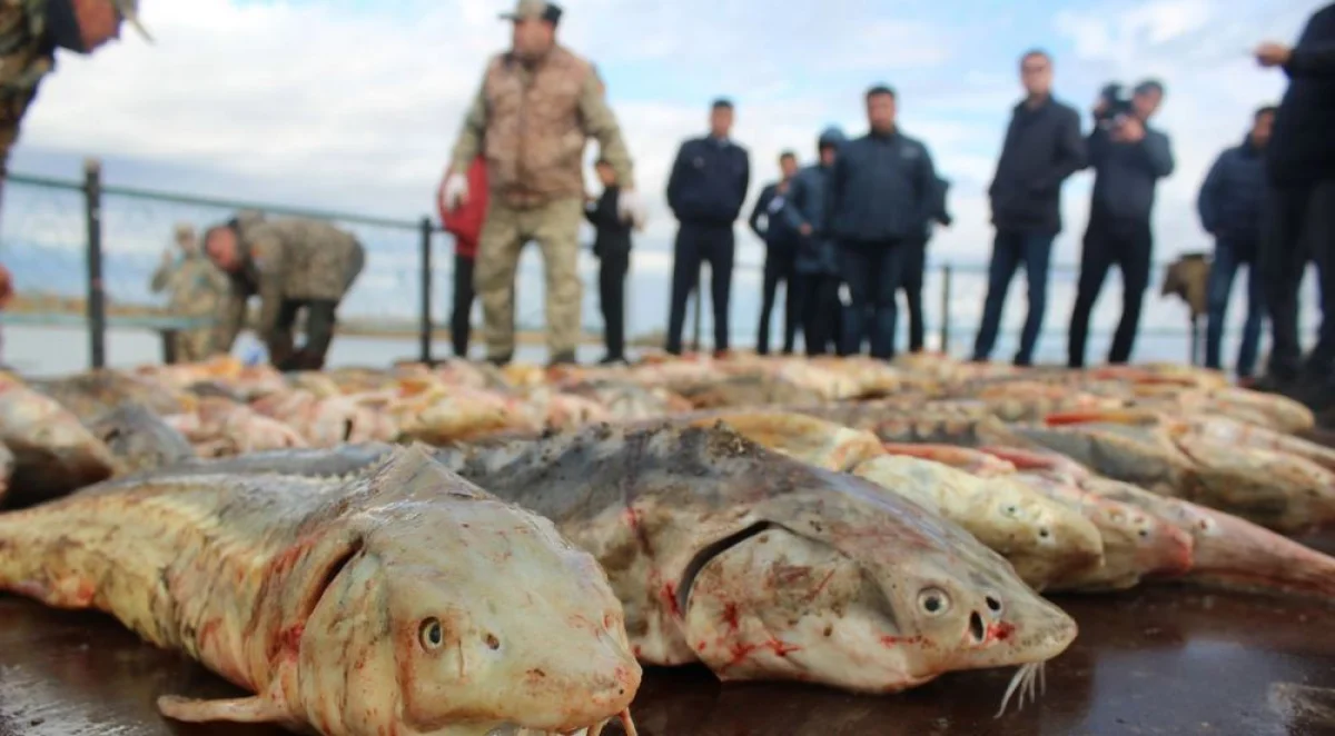 Фото из доступных источников