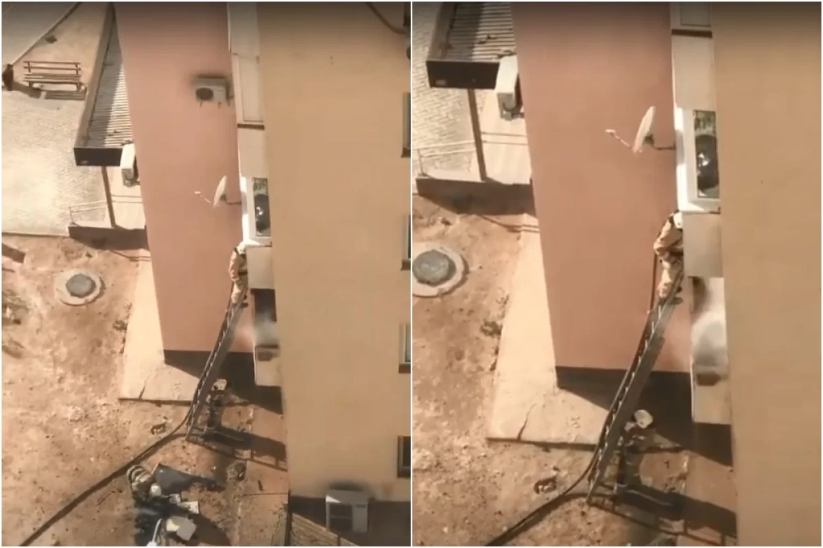 Коллаж из скриншотов видеоматериала