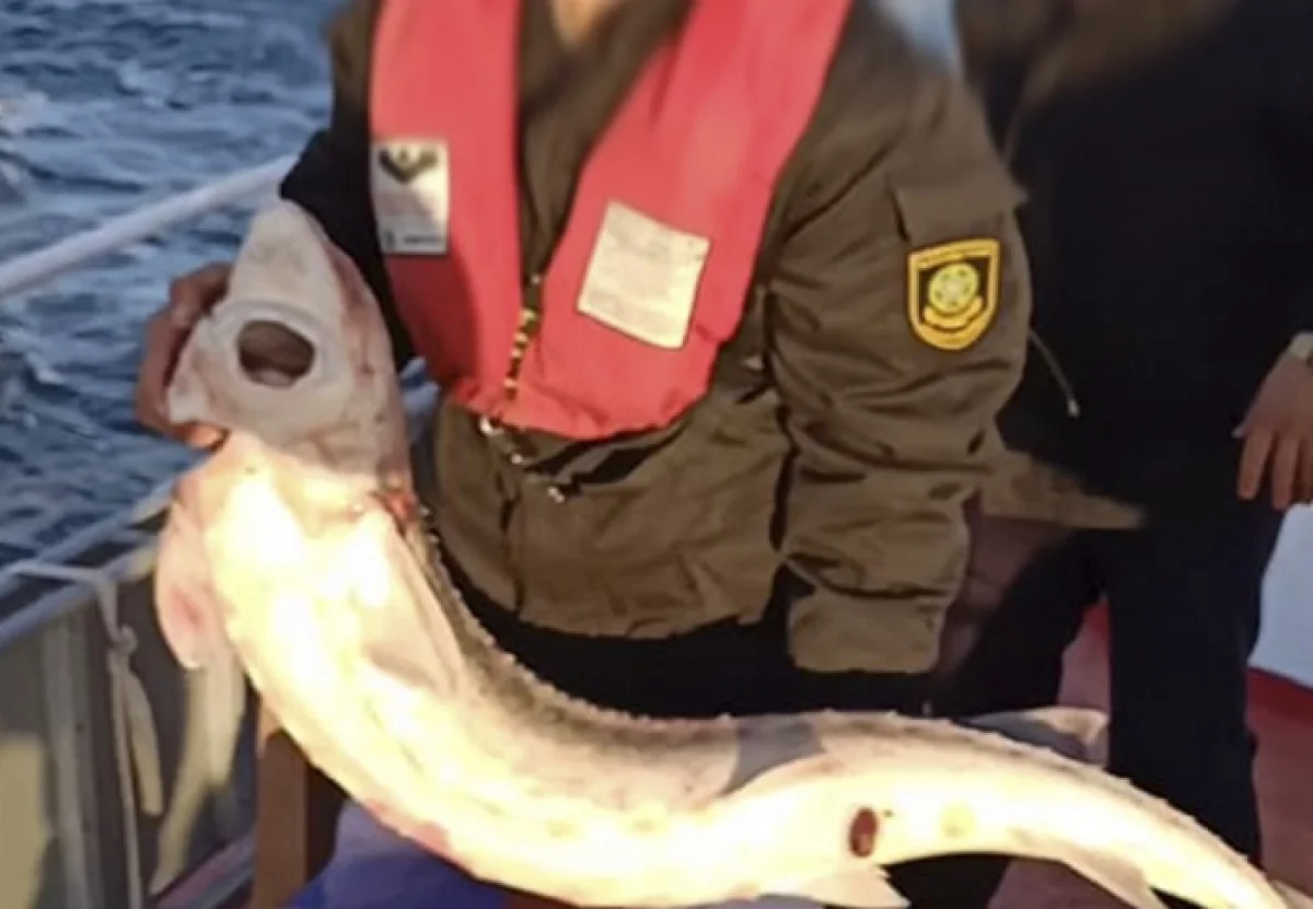 Фото ПС КНБ РК