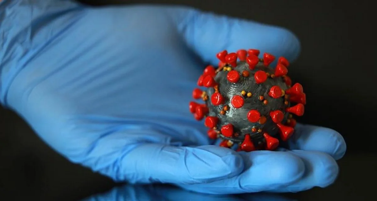 Фото из доступных источников