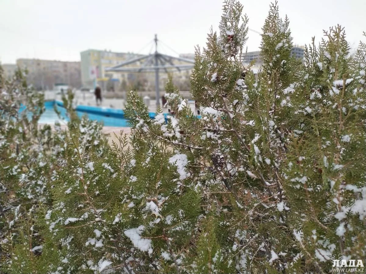 Фото Рашида Исмагилова