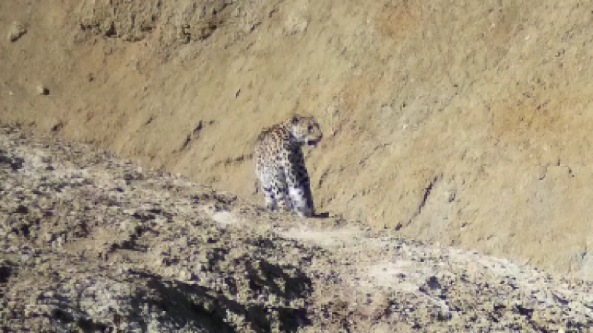 Скриншот видеоматериала