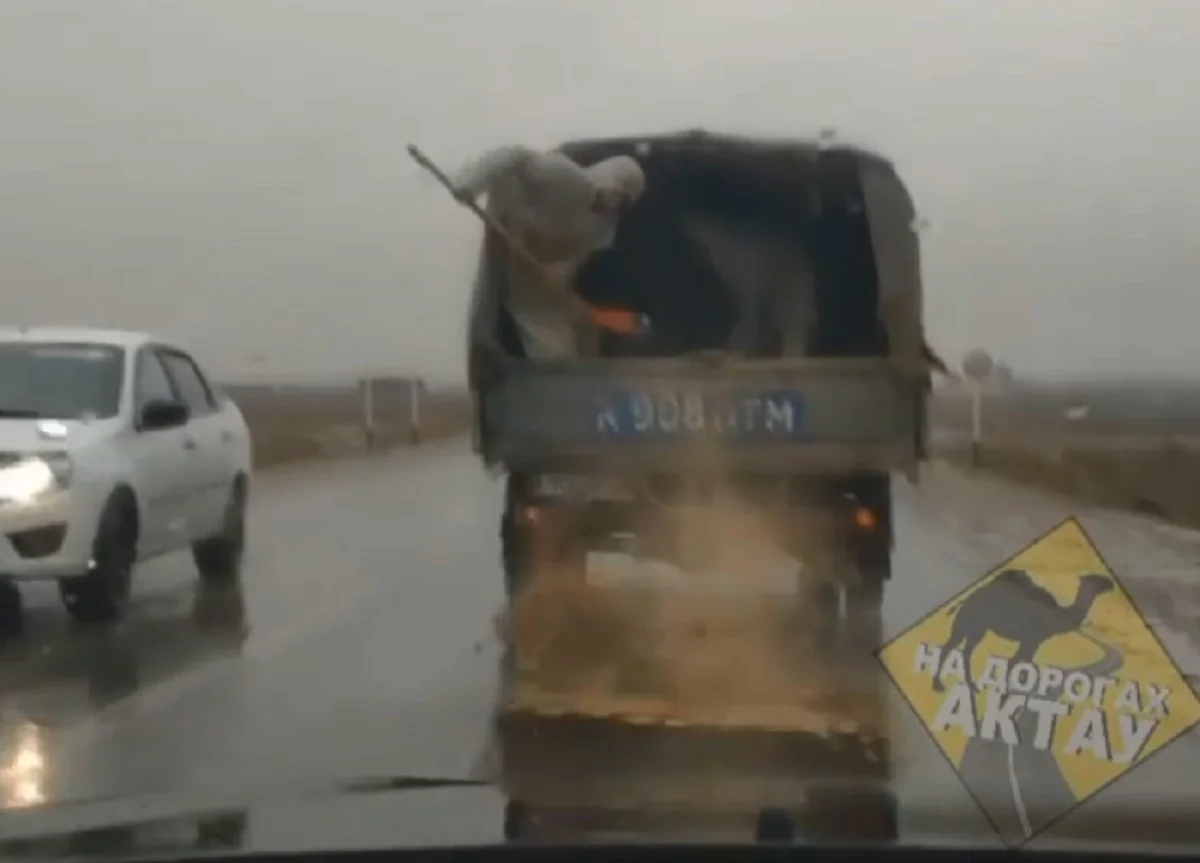 Скриншот видеоматериала со страницы na_dorogah_aktau в Instagram