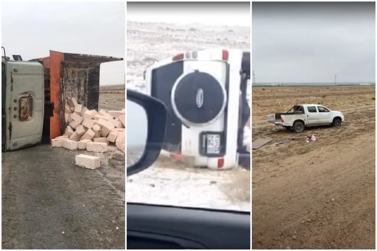 Коллаж из скриншотов видеоматериала