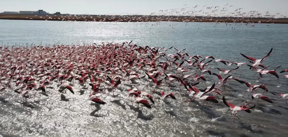 Фото из архива