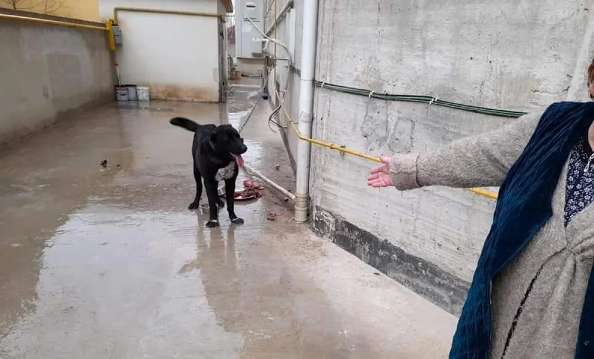 Фото из социальных сетей