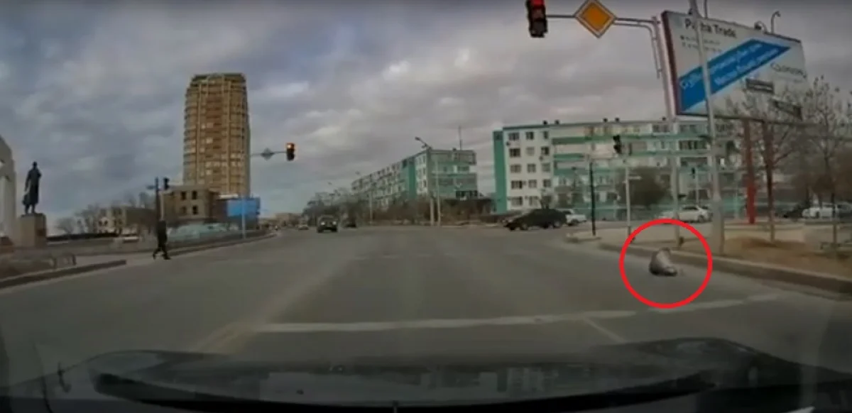 Скриншот видеоматериала