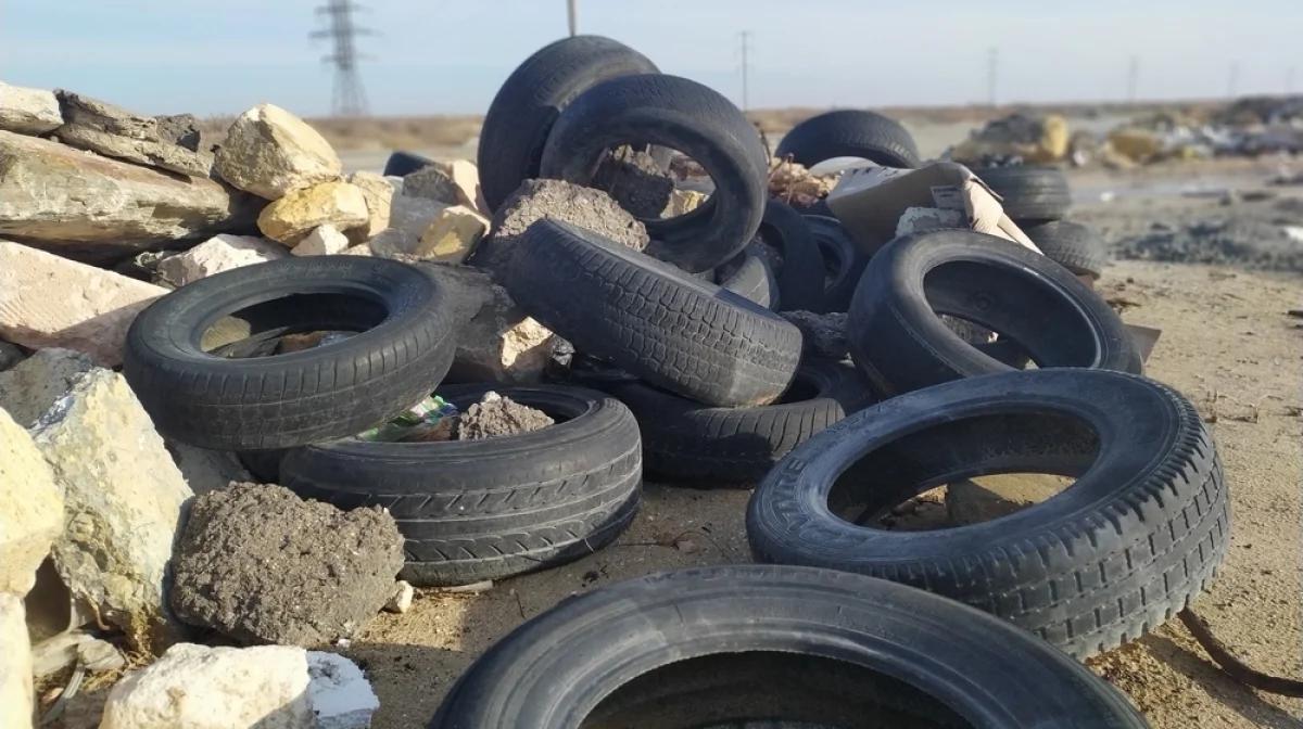 Фото заказника