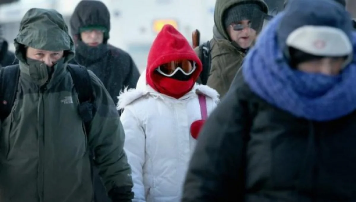 Фото из доступных источников