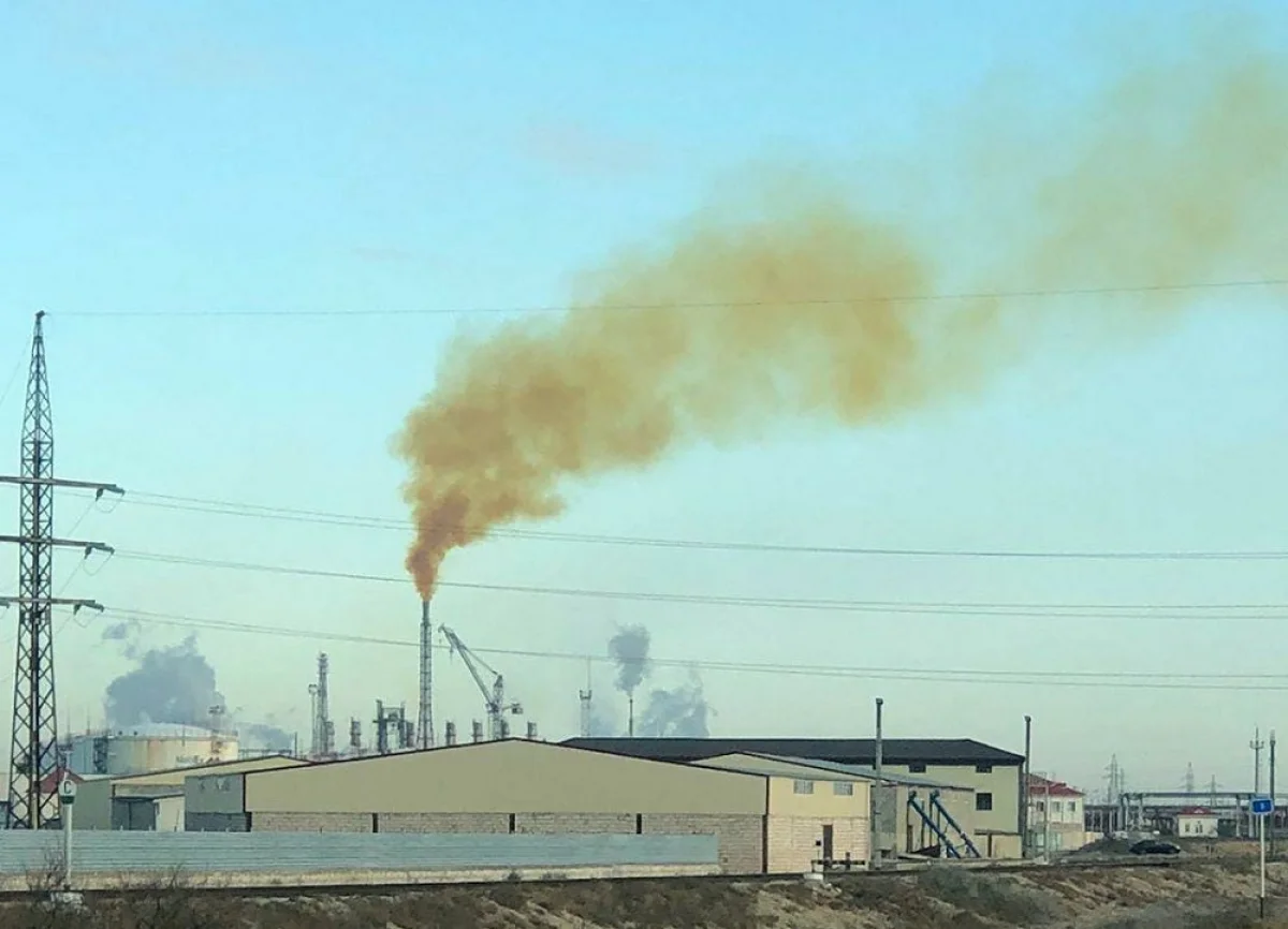 Фото пользователей Сети