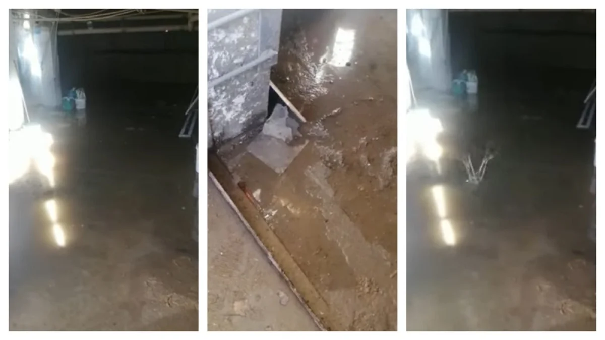 Коллаж из скриншотов видеоматериала