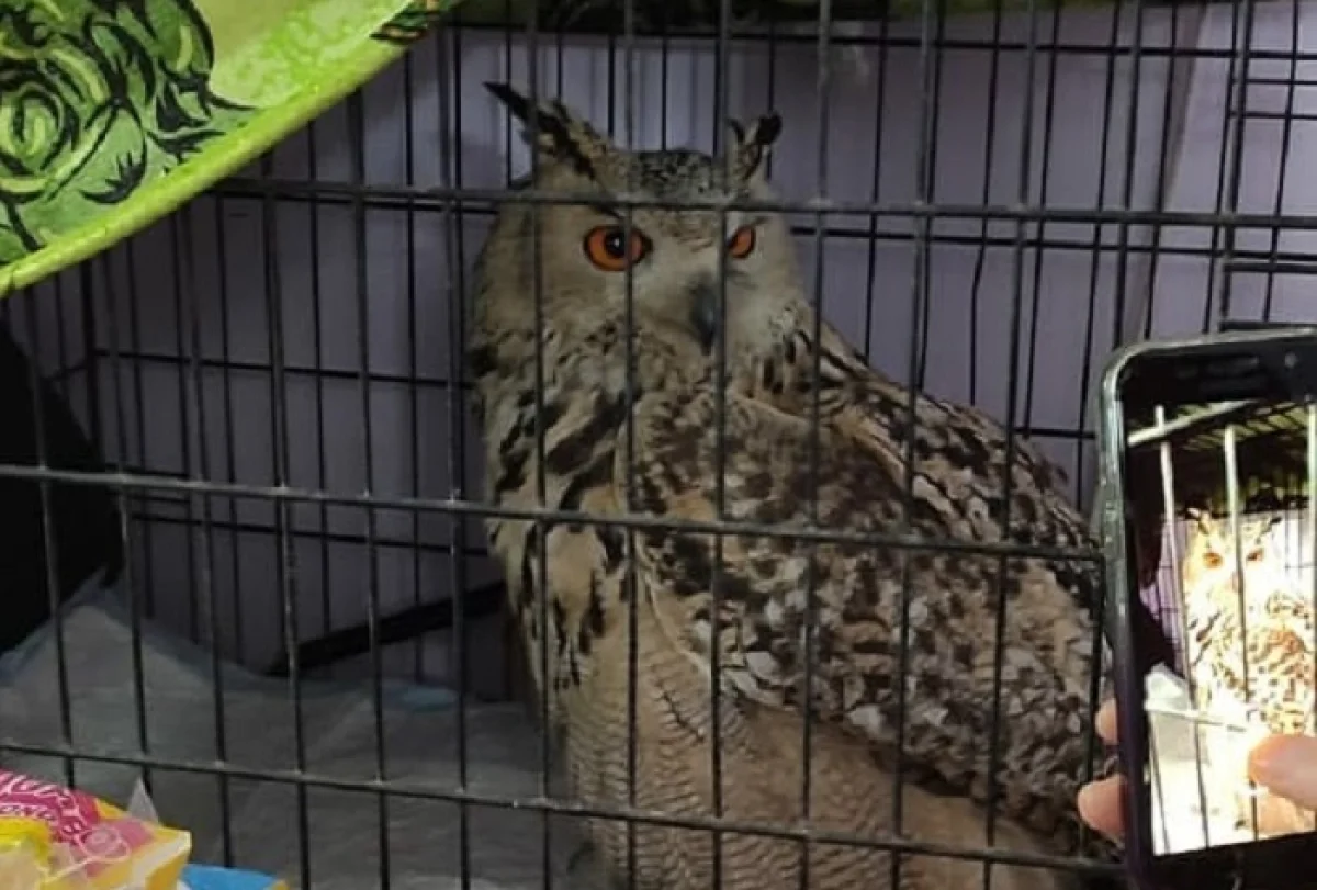 Фото Адильбека Козыбакова