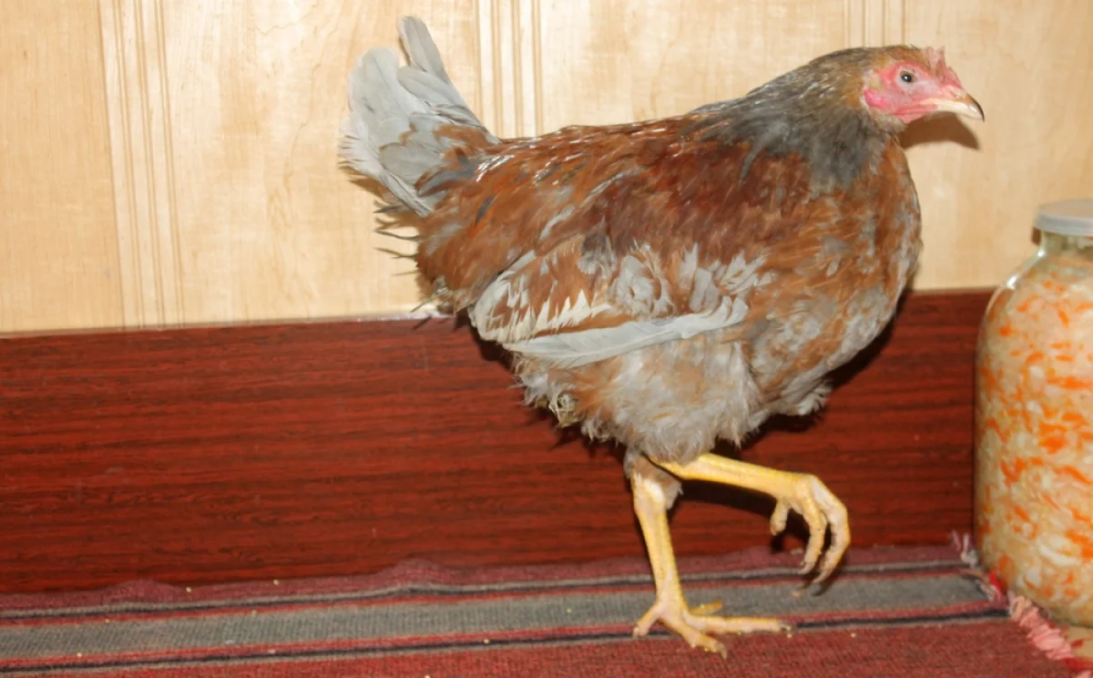 Фото Марины