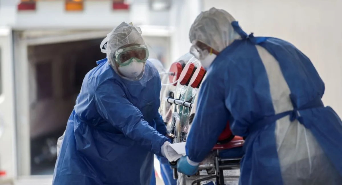 Фото из доступных источников