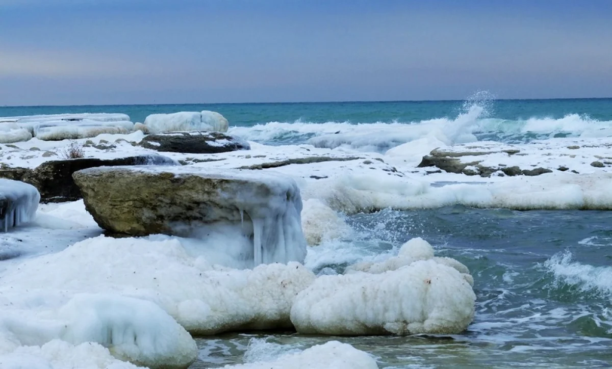 Фото из доступных источников