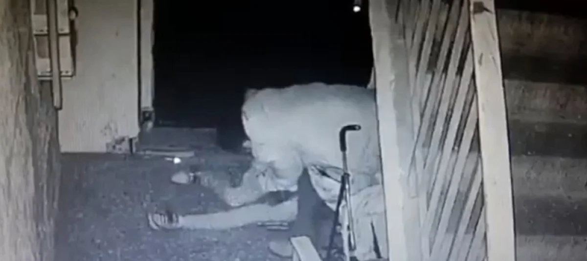 Скриншот видеоматериала