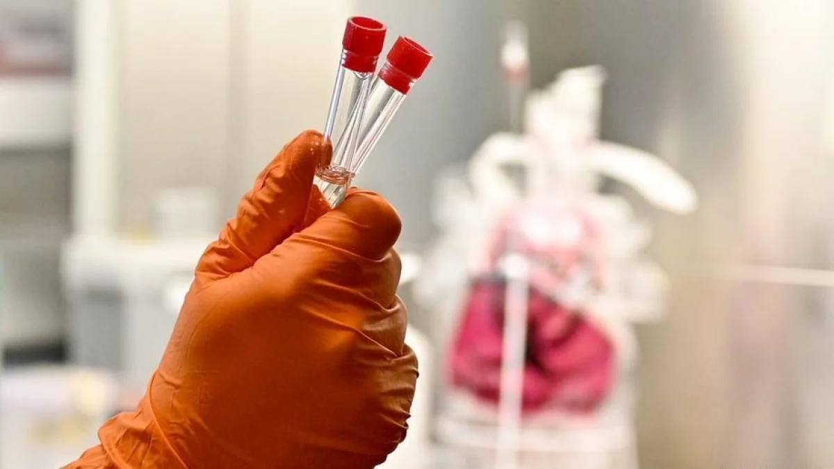 Иллюстрация к материалу