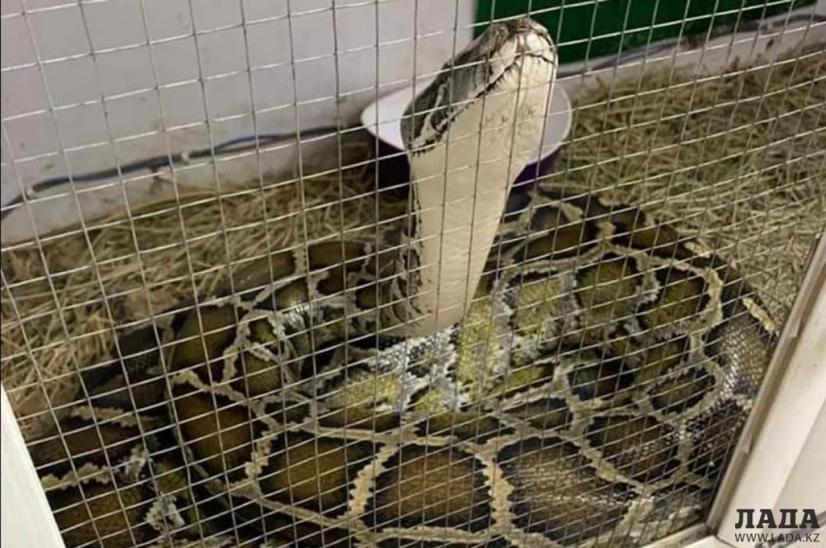 Фото со страницы соцсети Кирилла Осина