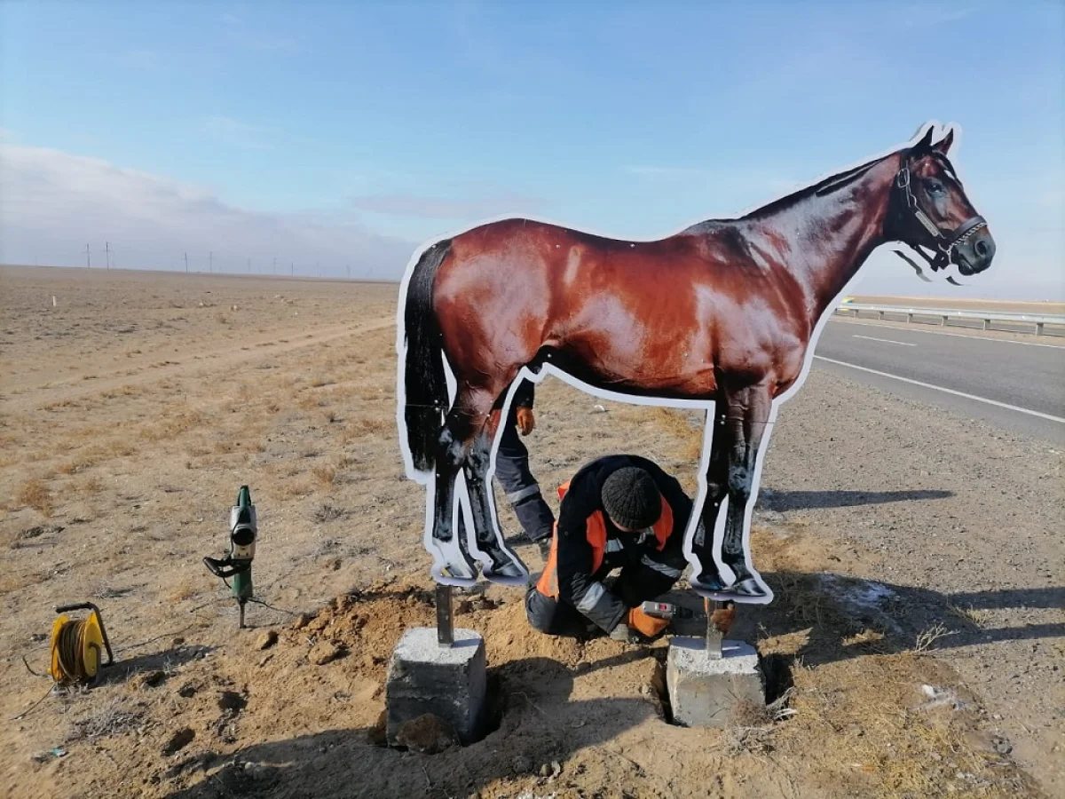 Фото предоставил Канат Сатыев