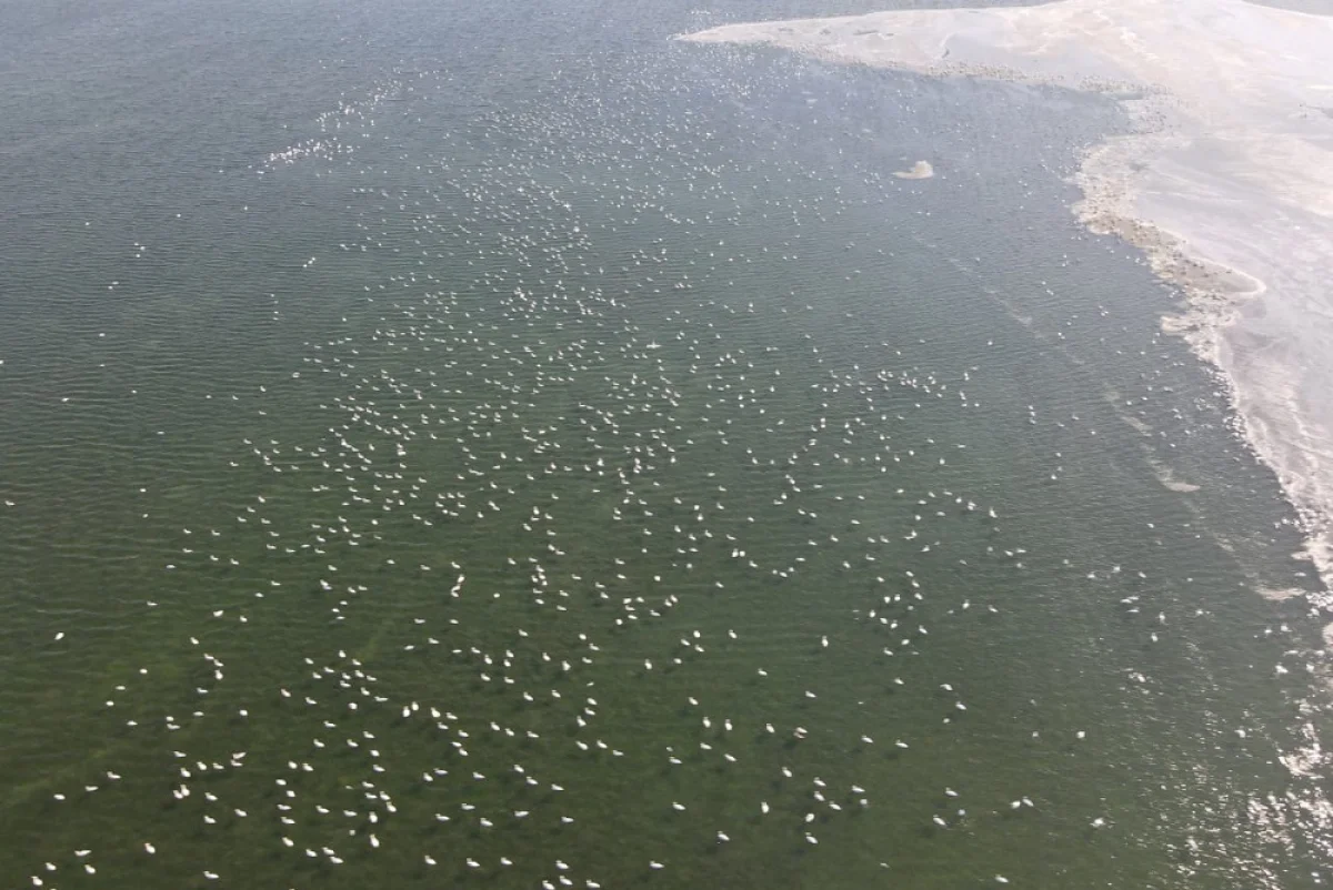 Скриншот видеоролика