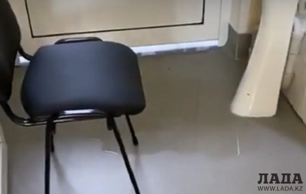 Скрин видео