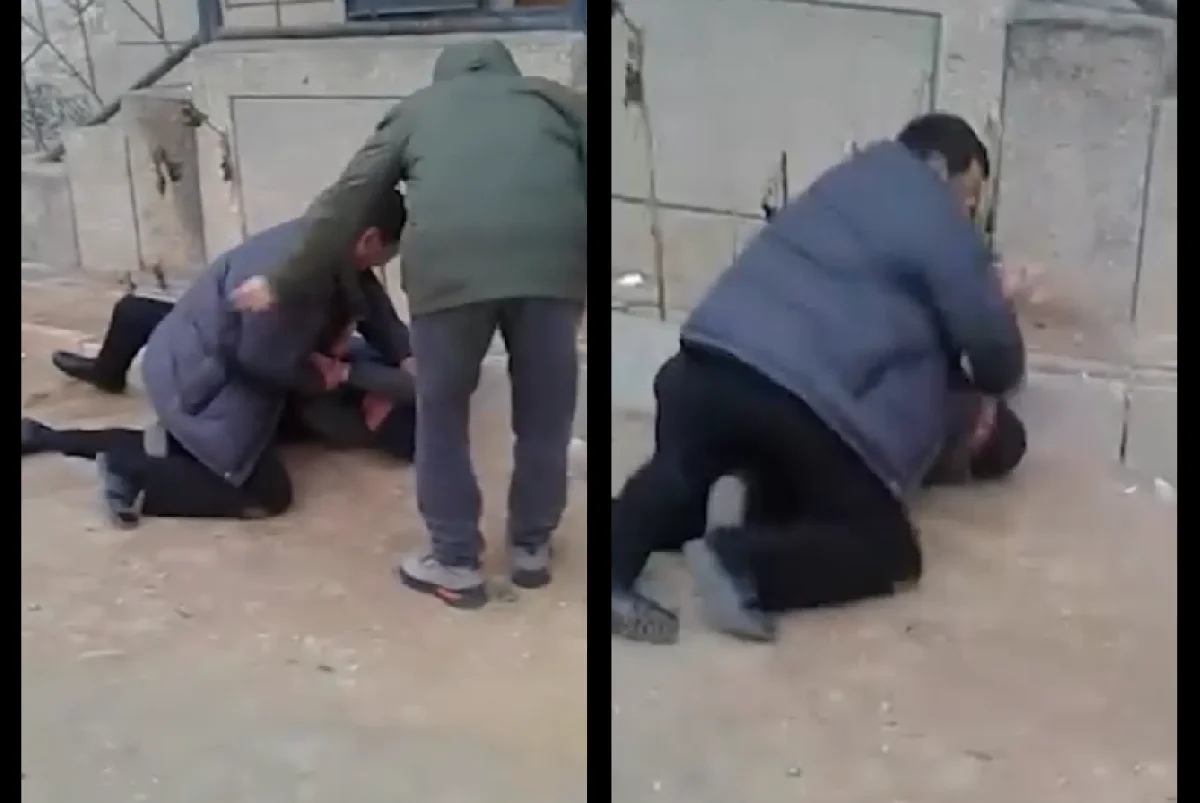 Коллаж из скриншотов видеоматериала