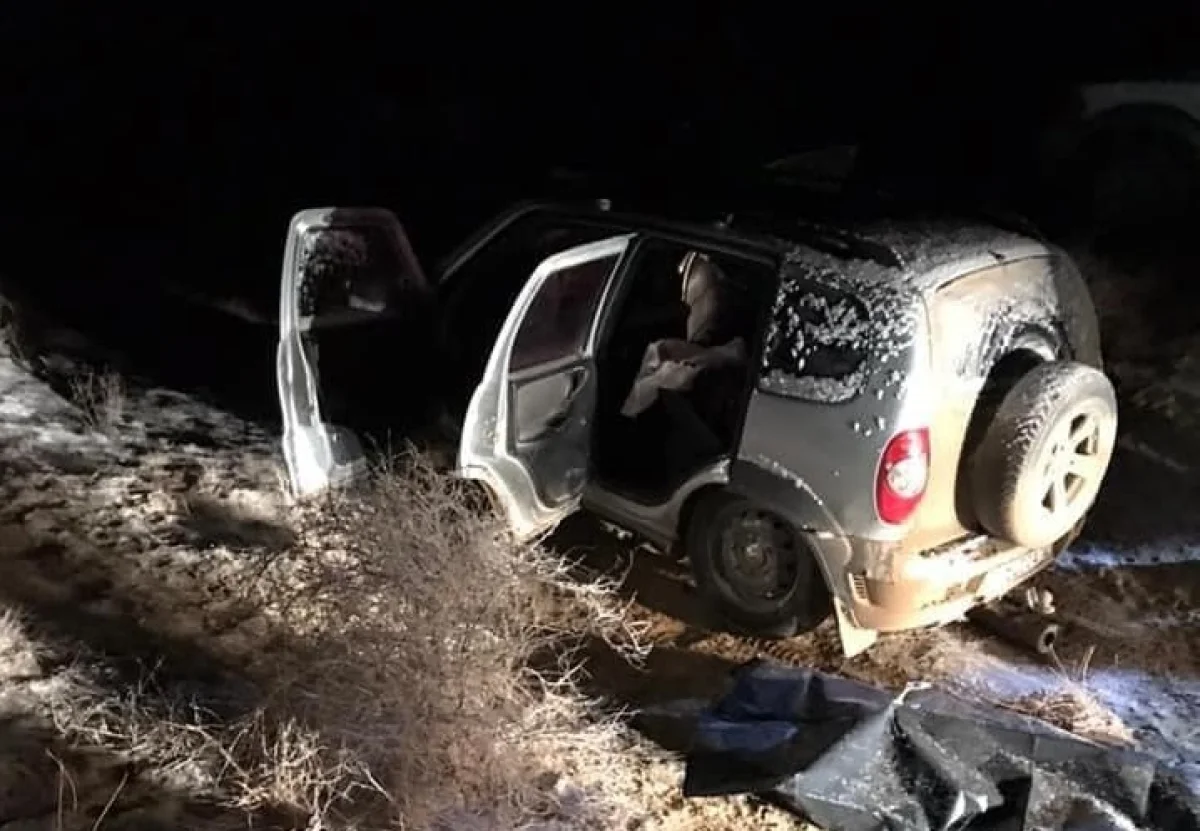 Фото предоставлено Мангистауской областной территориальной инспекцией лесного хозяйства и животного мира