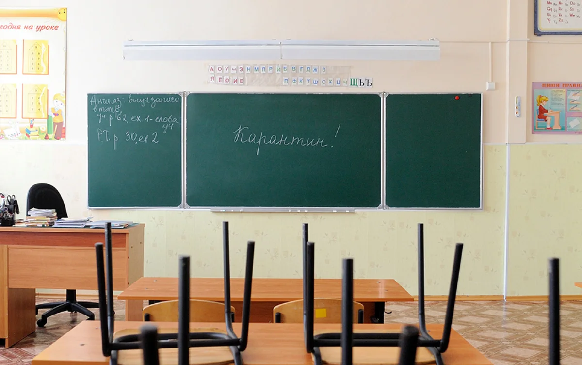 фото из открытых источников