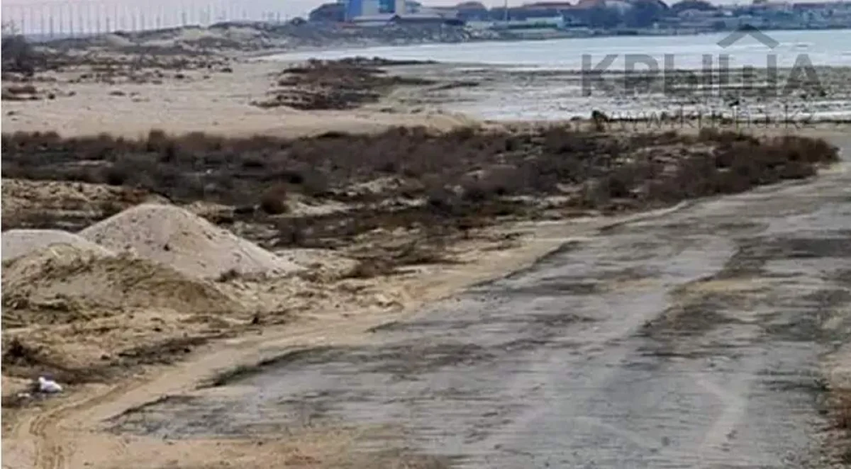 Фото с сайта Krisha.kz