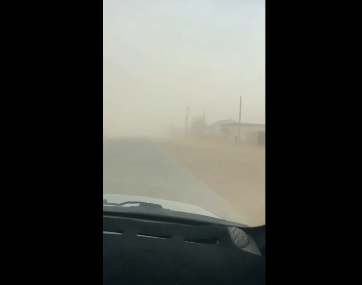 Кадры из видеоматериала