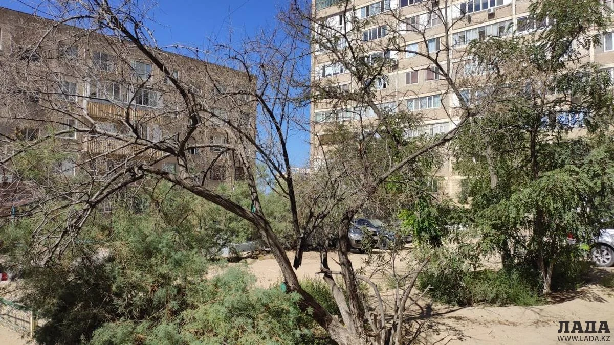 Фото из архива Lada.kz