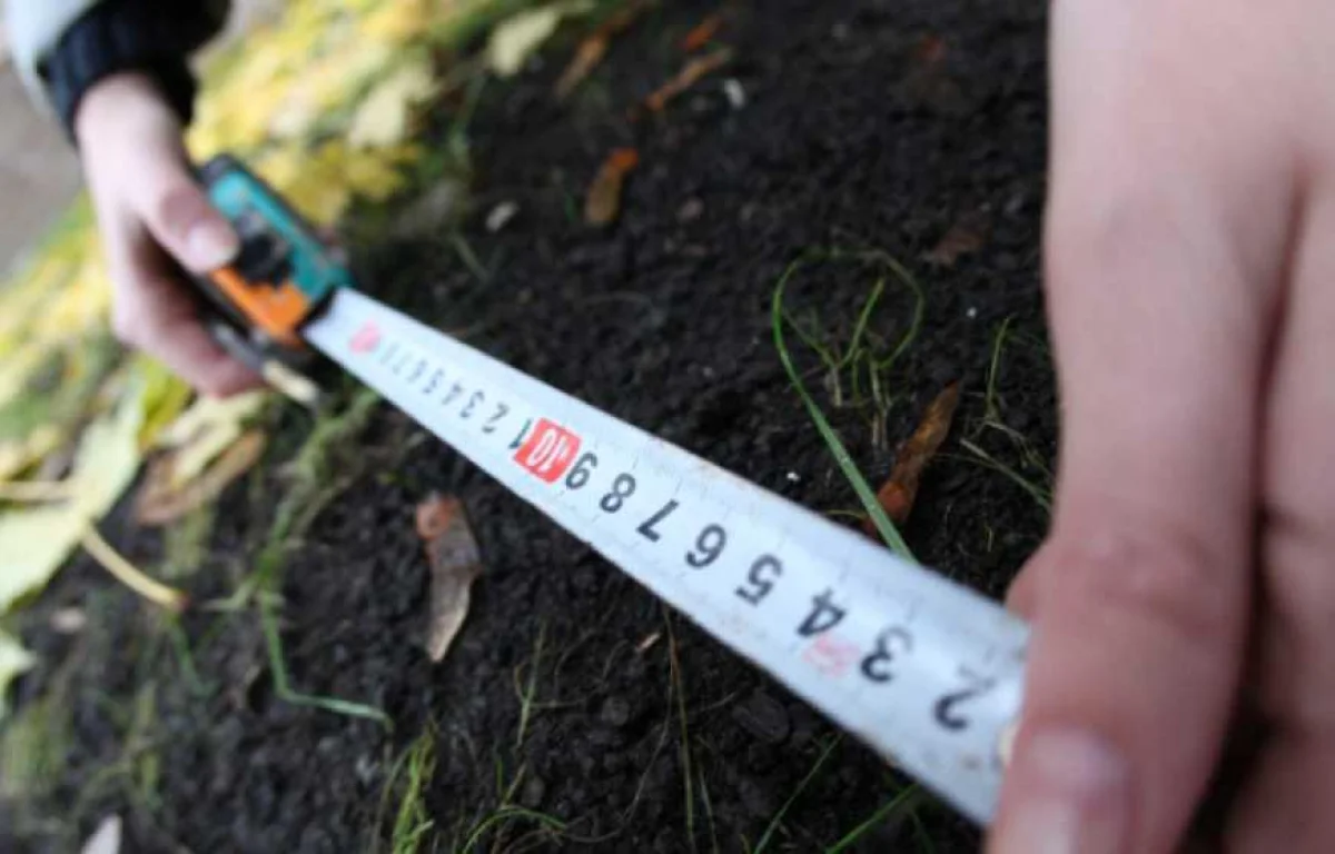 Фото agropolit.com