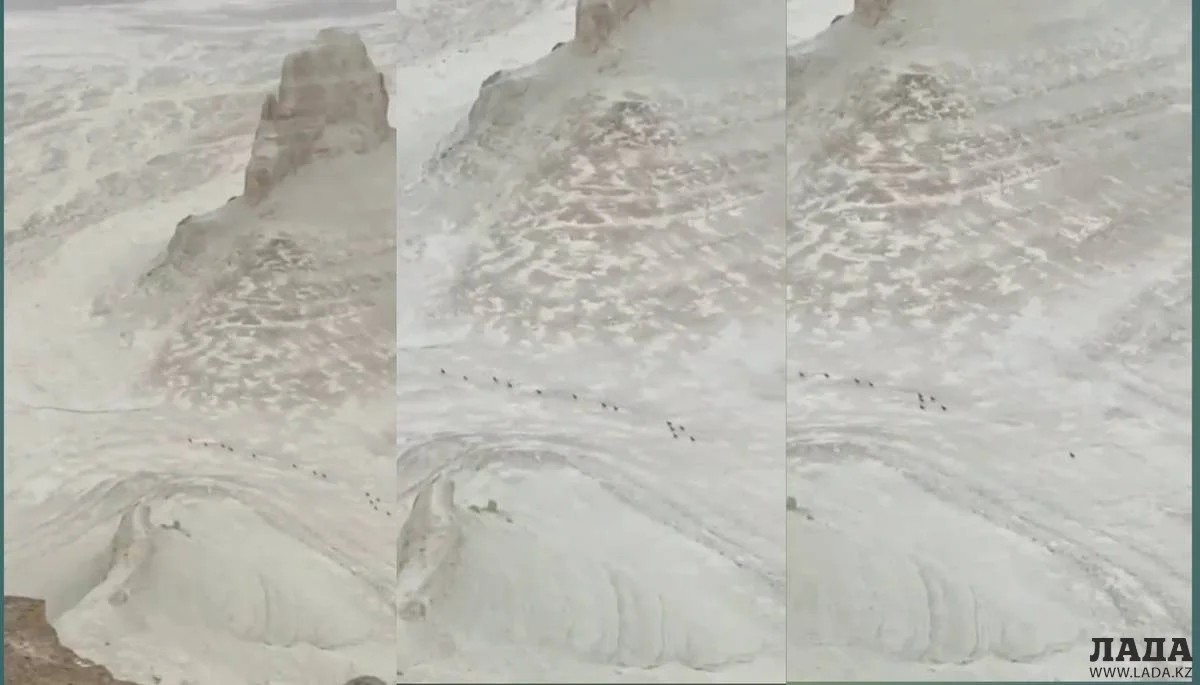 Коллаж из кадров видеоматериала