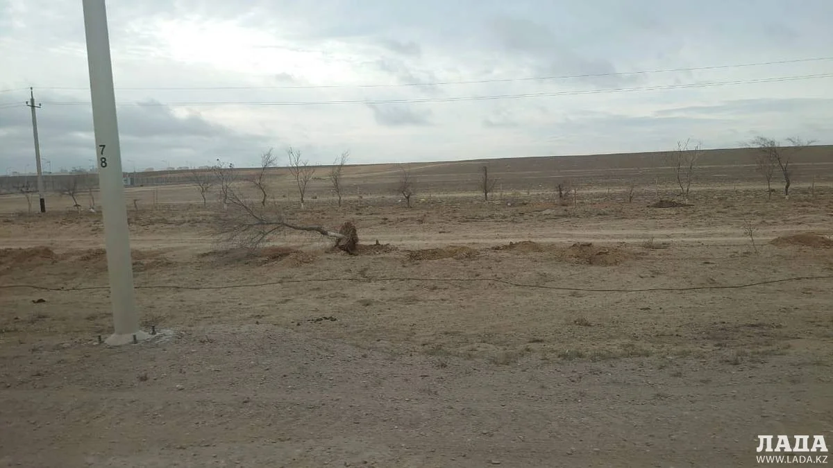 Фото пользователя Lada.kz