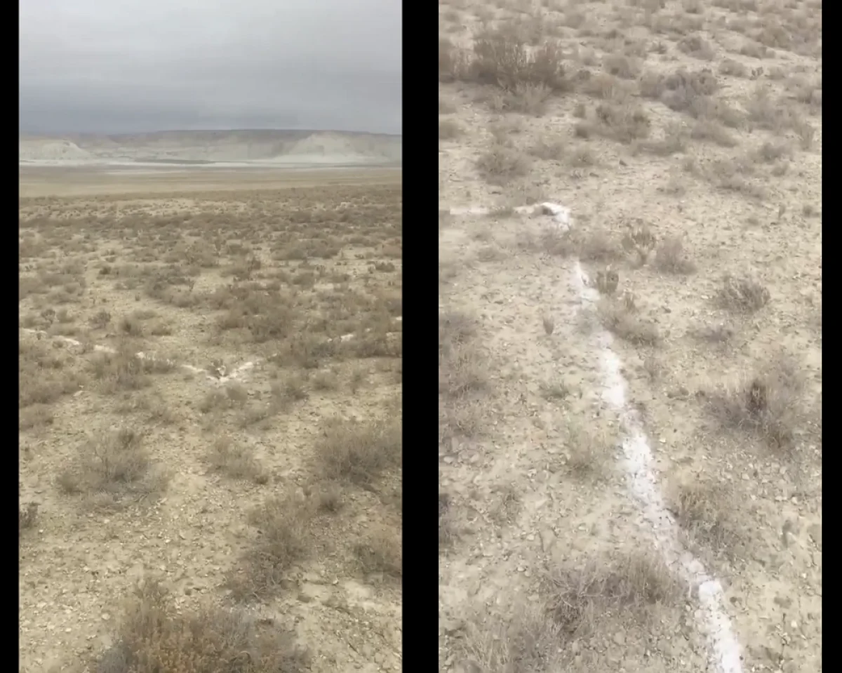 Кадры из видеоматериала