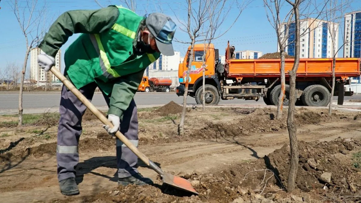 Фото из доступных источников