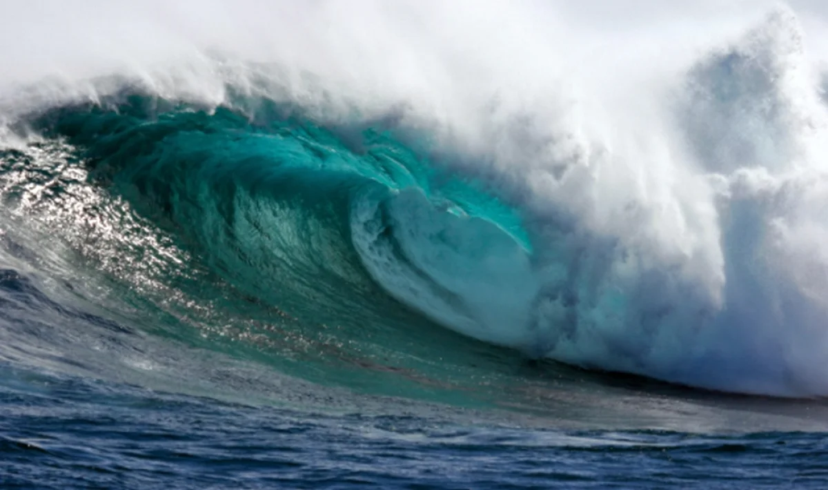 Фото из доступных источников