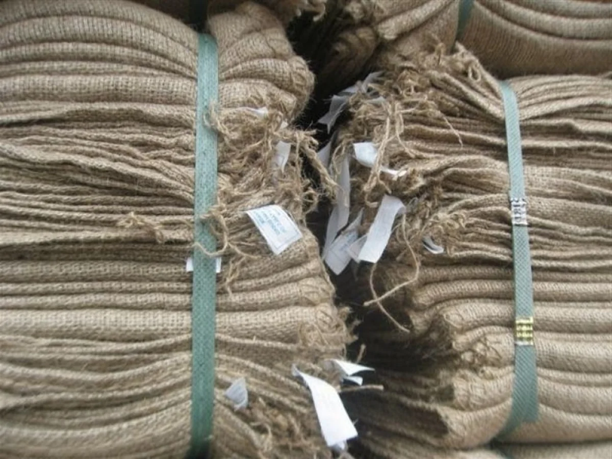 Фото из доступных источников