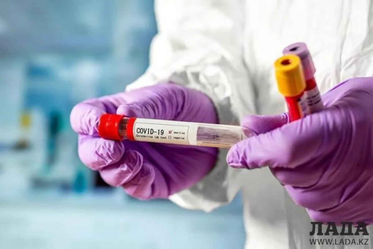 Фото из доступных источников