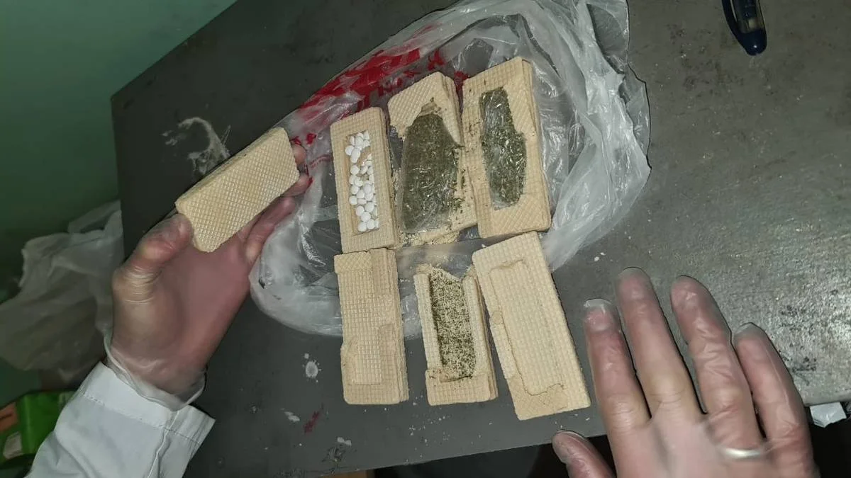 Фото пресс-службы ведомства