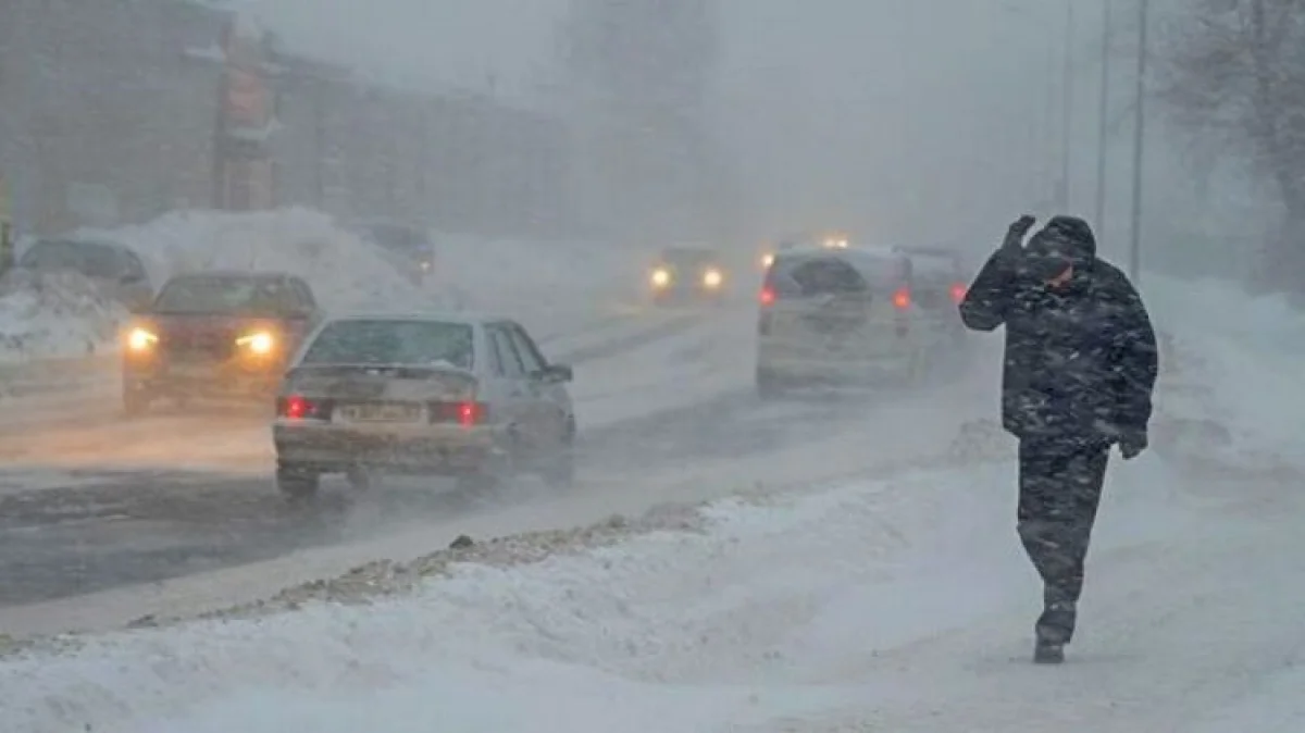 Иллюстративное фото