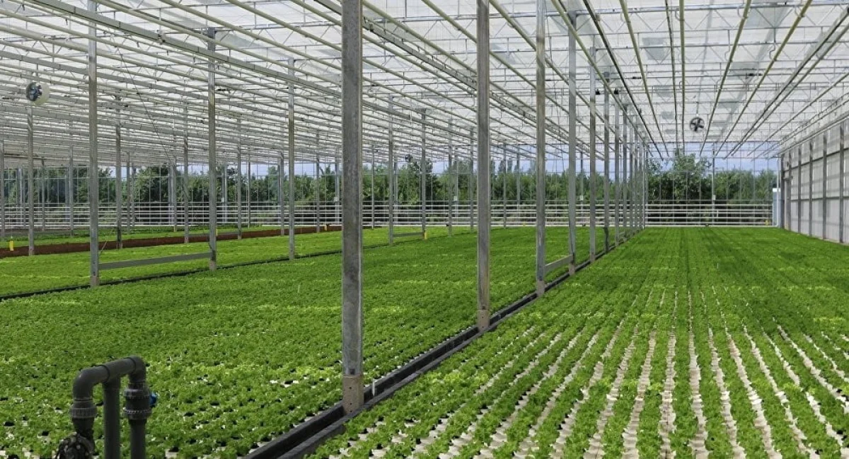 Фото из доступных источников