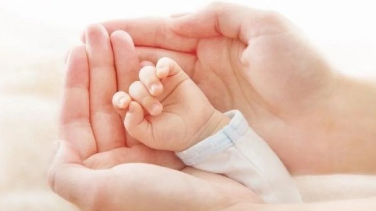 Фото из Сети интернет