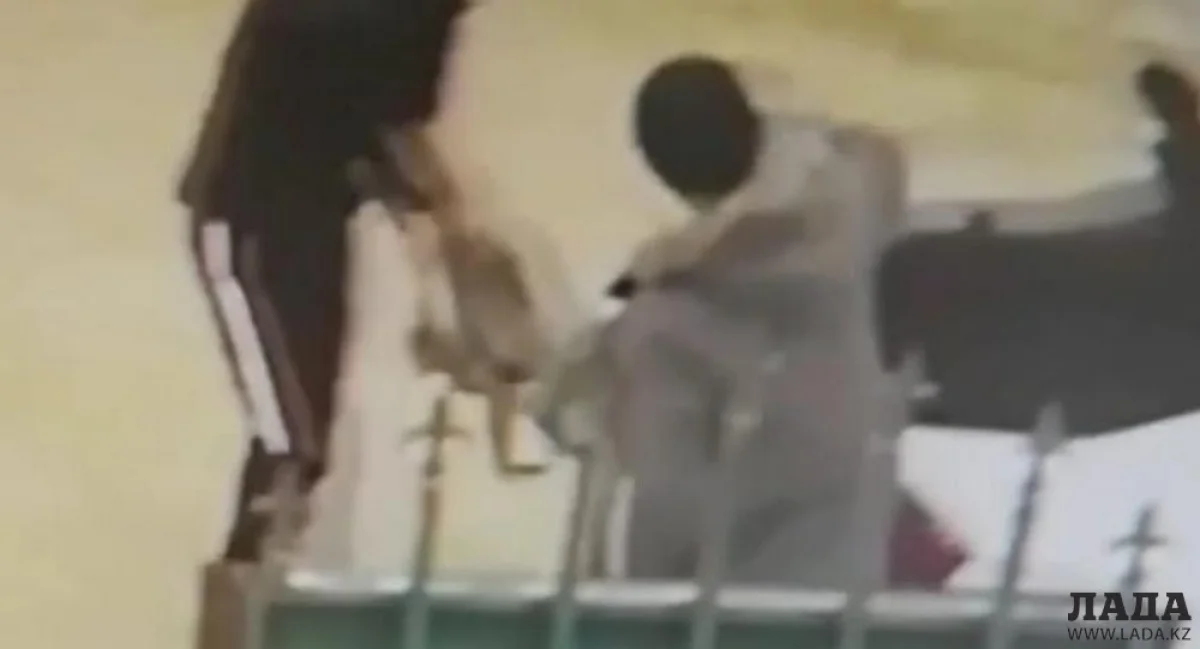 Скрин видео