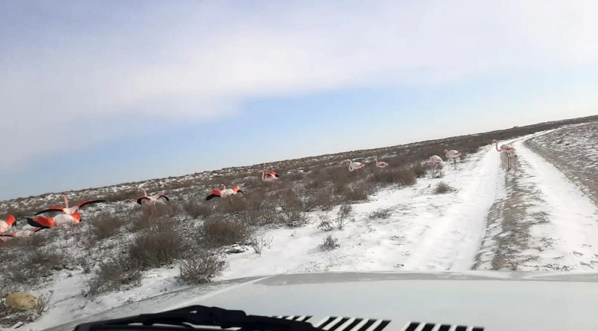 Фото пользователя Lada.kz