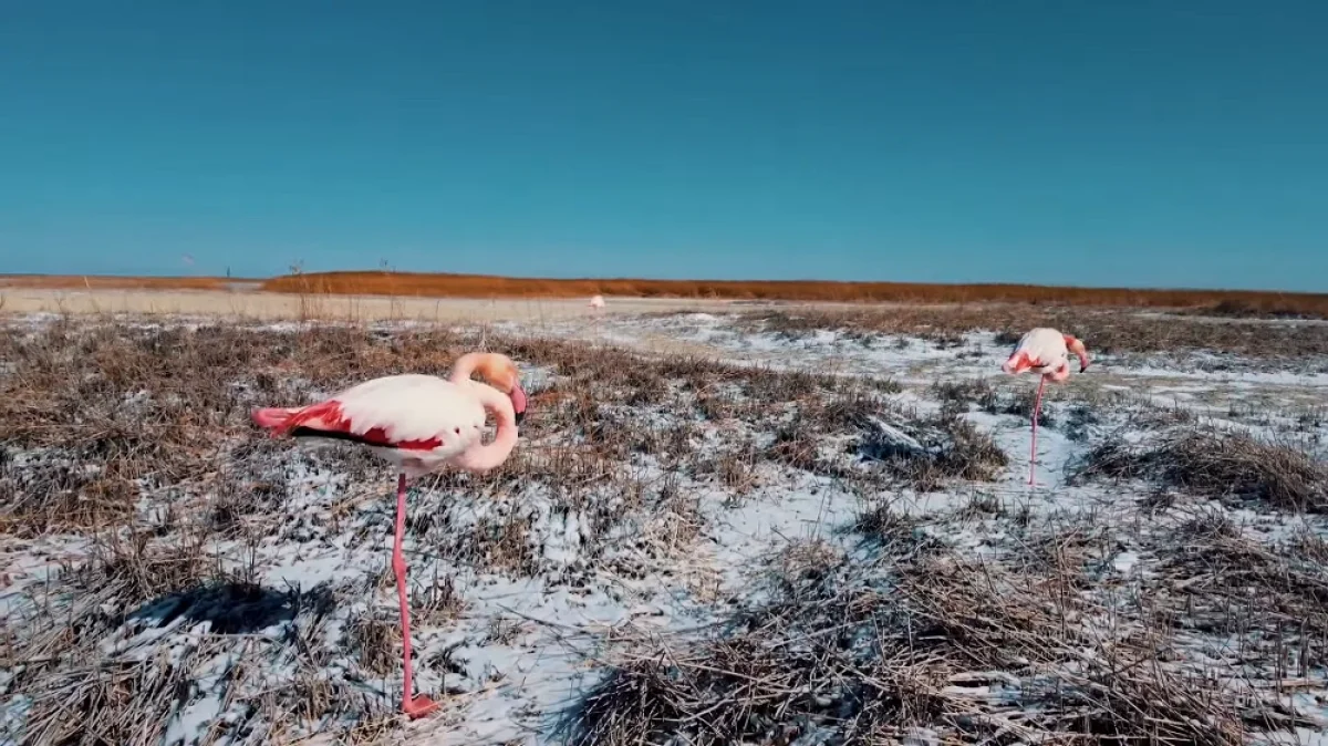 Фото Азамата Сарсенбаева