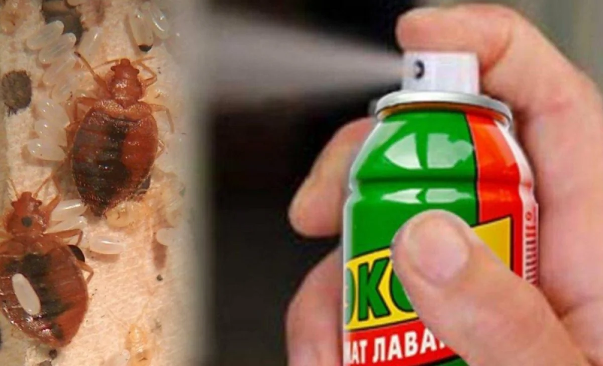 Фото из доступных источников